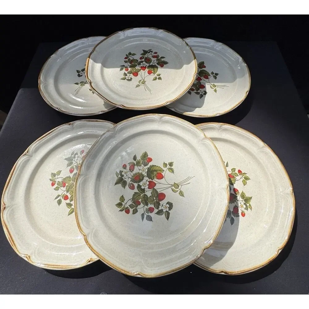 6 Vintage 1960’s Endura Collection LA FRAISE Strawberries 10.5